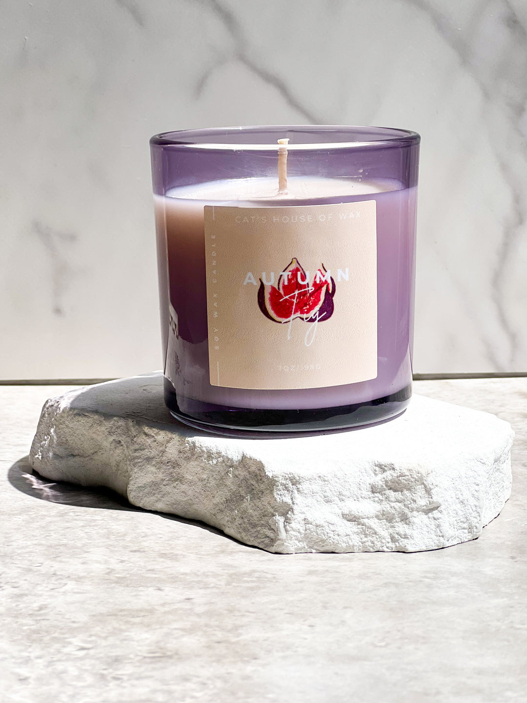 Autumn Fig Soy Wax Candle